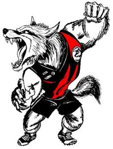 Tea Tree Gully Districts FC logo