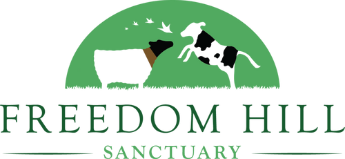 Freedom Hill Sanctuary