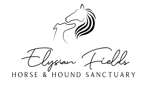 Elysian Fields Horse & Hound Sanctuary Inc logo