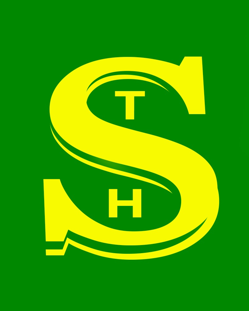 Brisbane South Baseball Association Inc logo