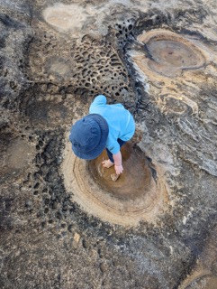 Clovelly Childcare Centre
