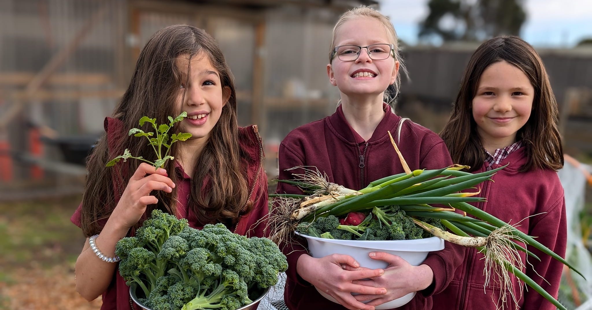 South Arm Primary School Association