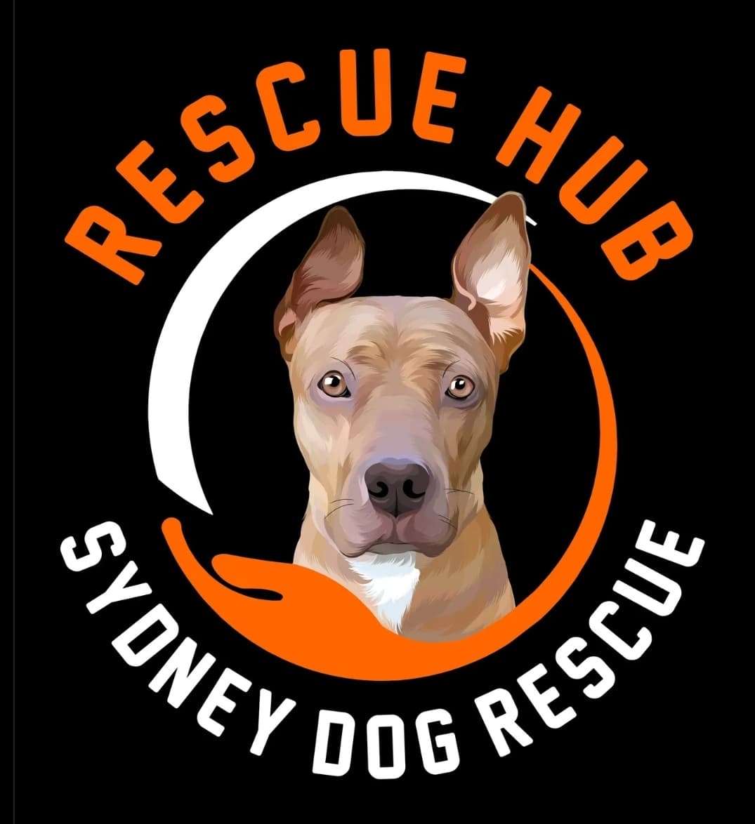 Rescue Hub