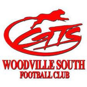 Woodville South JFC logo