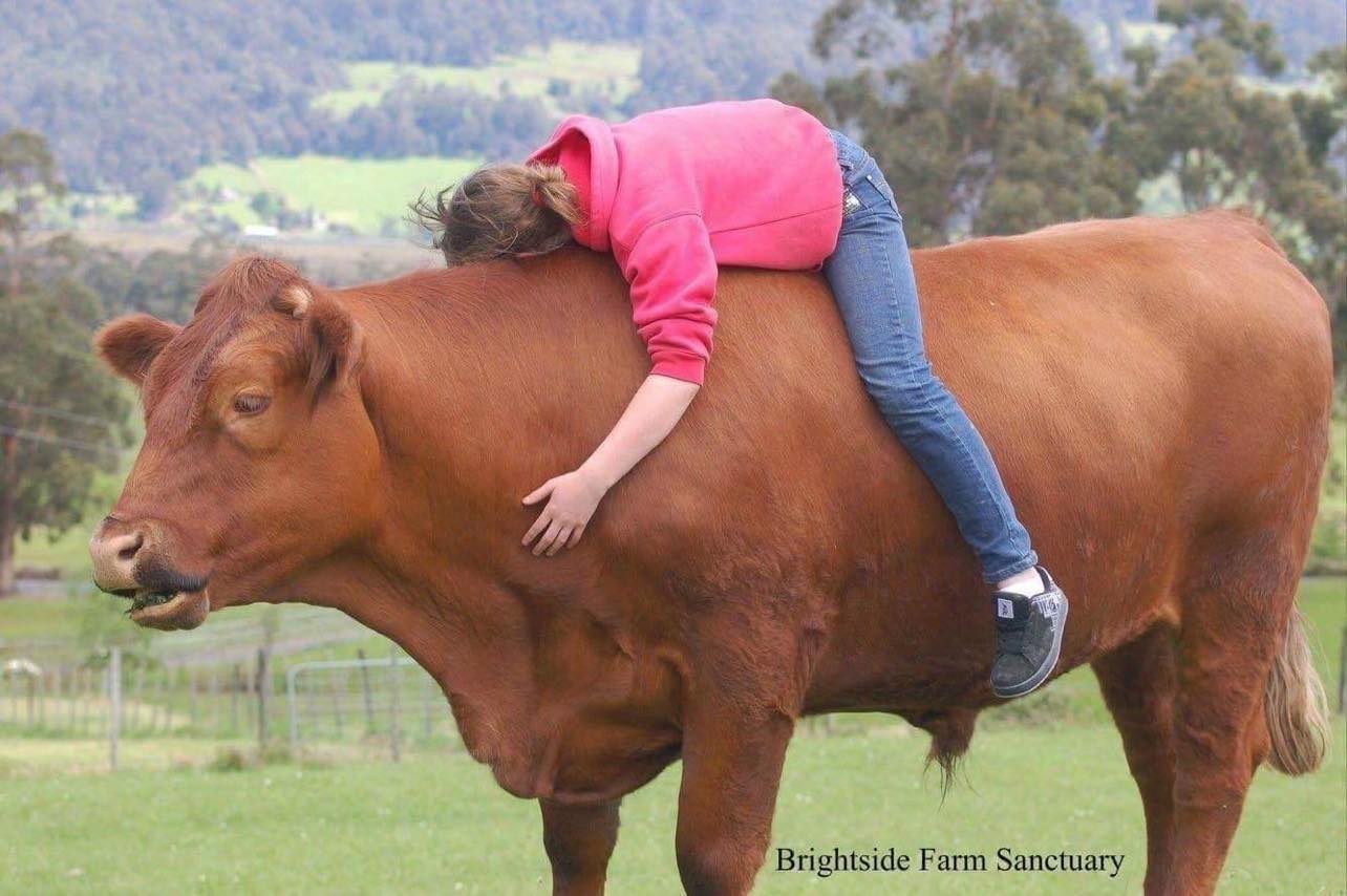 Brightside Farm Sanctuary