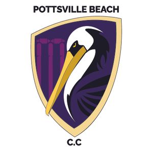 Pottsville Cricket Club logo