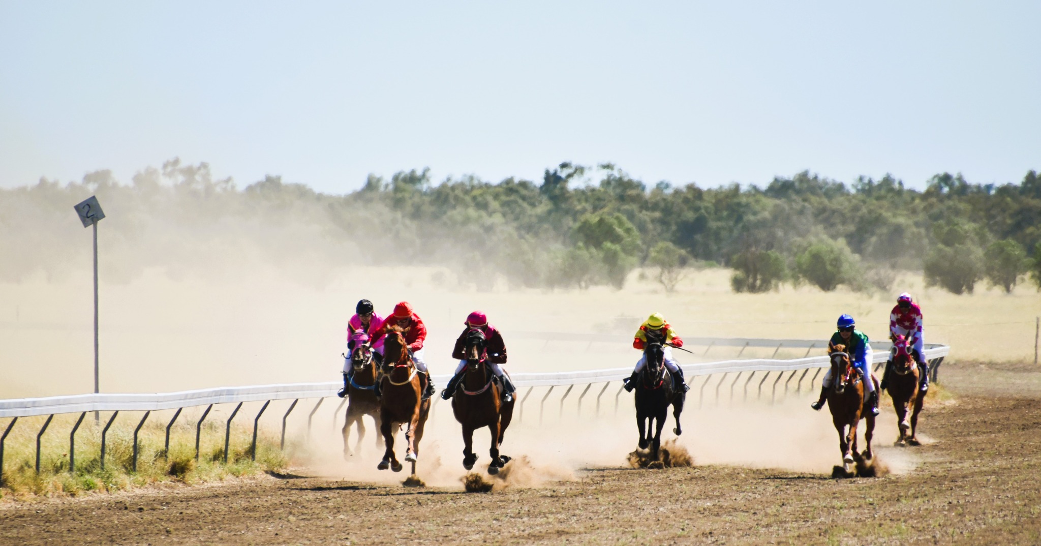 Tower Hill Picnic Amateur Race Club Inc