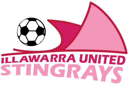 Illawarra Stingrays Football Club