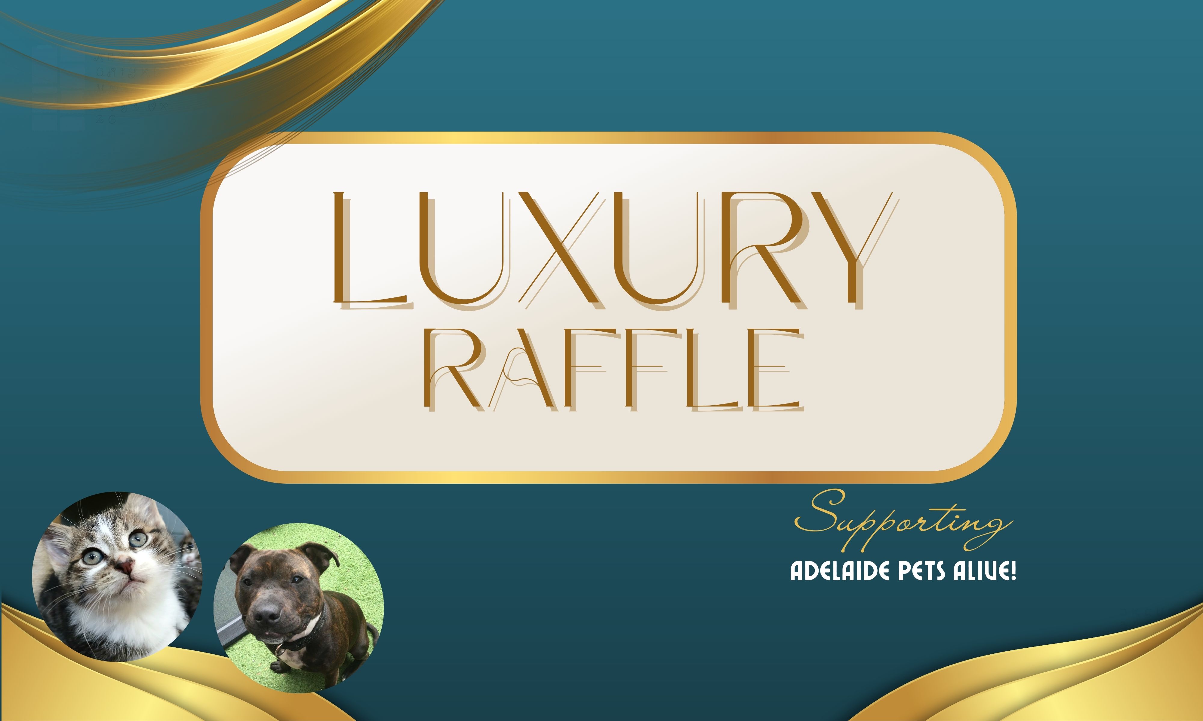 Adelaide Pets Alive! Incorporated