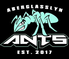 Aberglasslyn Ants logo