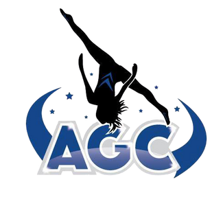 Aerial Gymanstics and Cheer