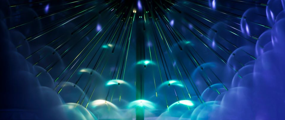 Potts Point Partnership