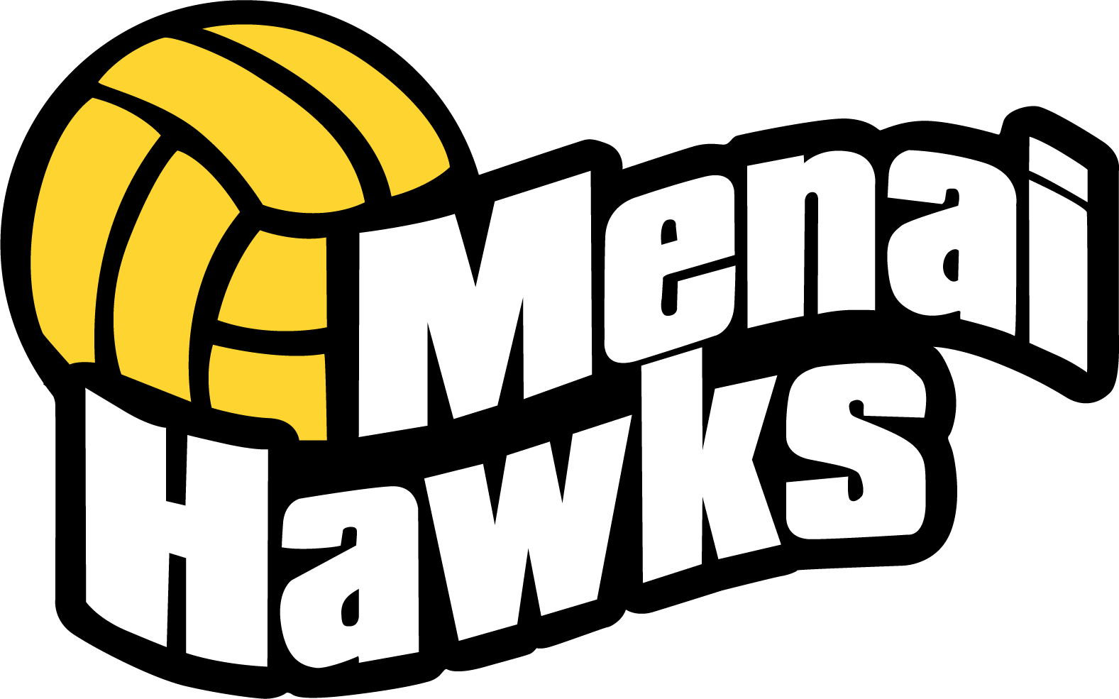 Menai Hawks Netball Club logo