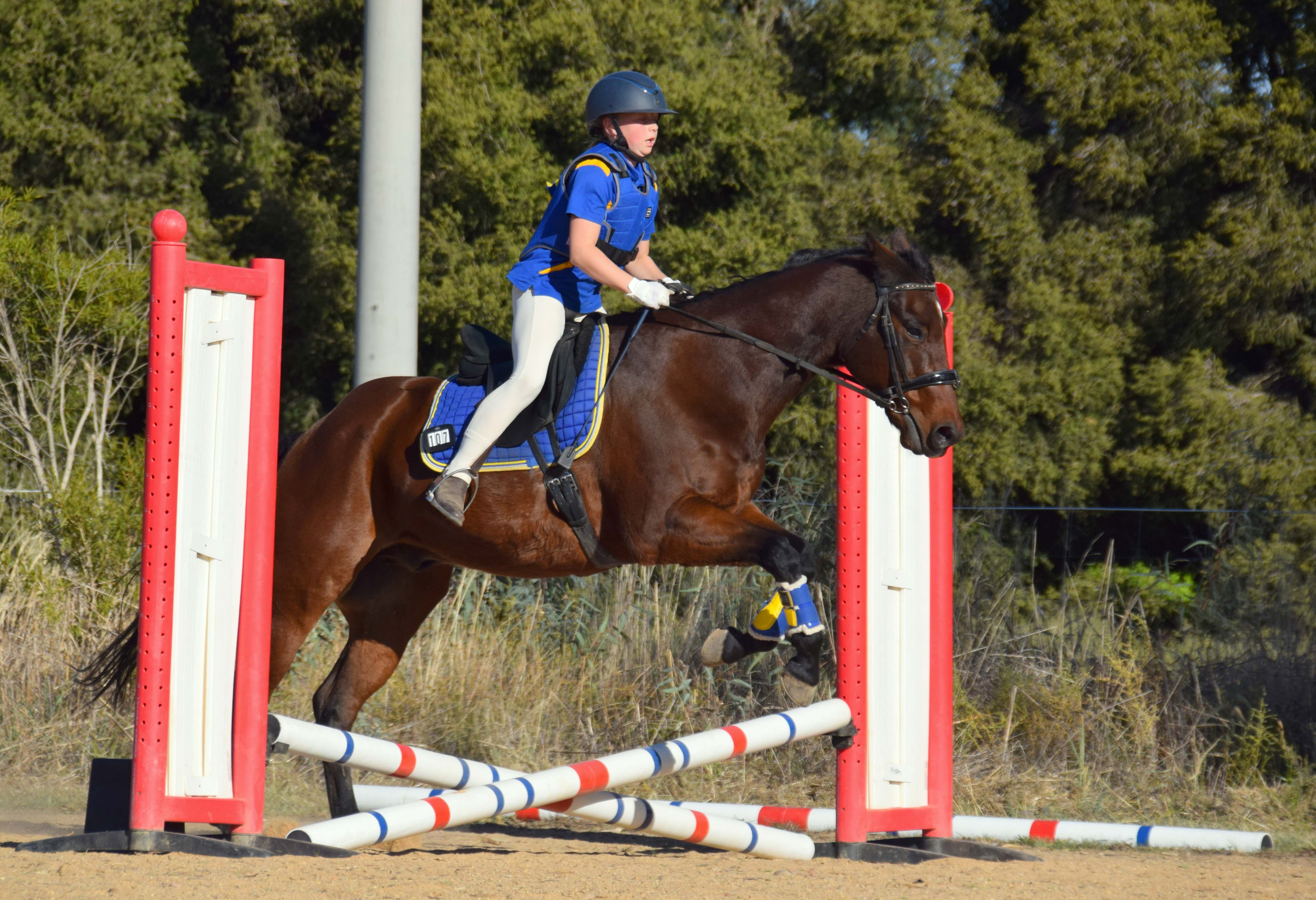 Rochester & District Horse and Pony Club Inc.