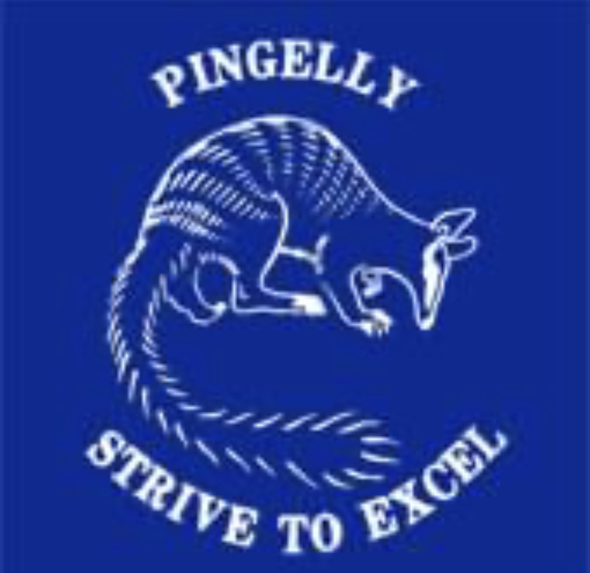 Pingelly Primary School P&C Association logo