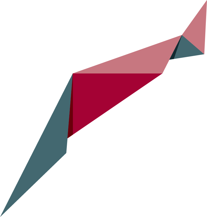 National Association of Women in Construction (QLD)