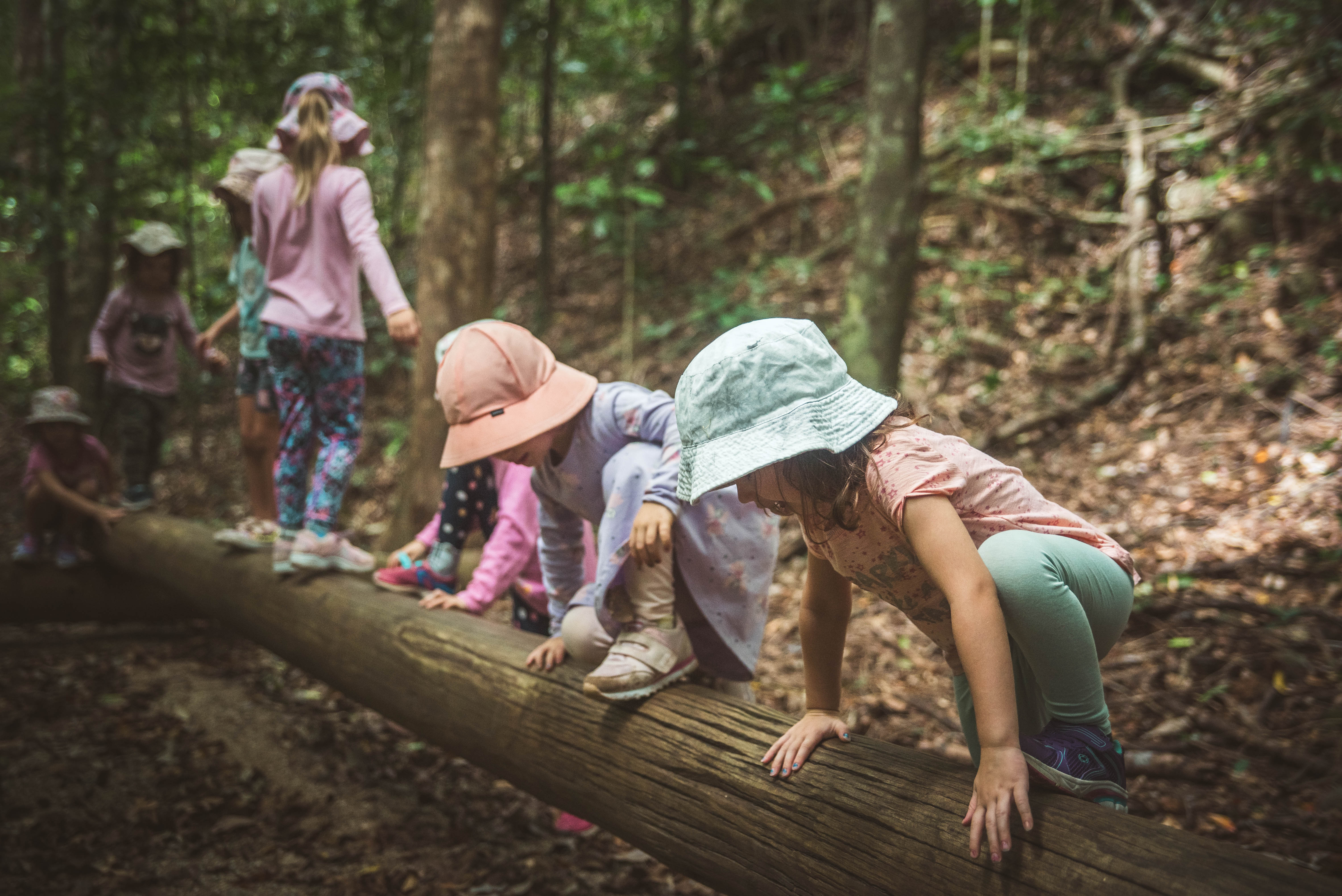 FNQ Nature Quest Ltd