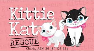 Kittie Kat Rescue Inc logo