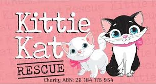 Kittie Kat Rescue Inc