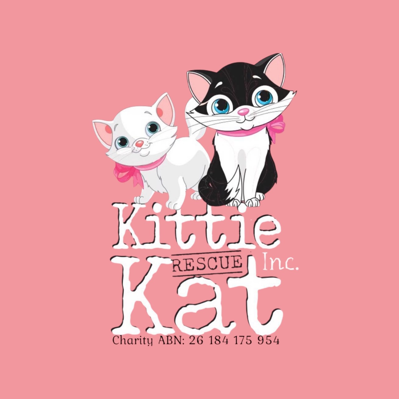 Kittie Kat Rescue Inc
