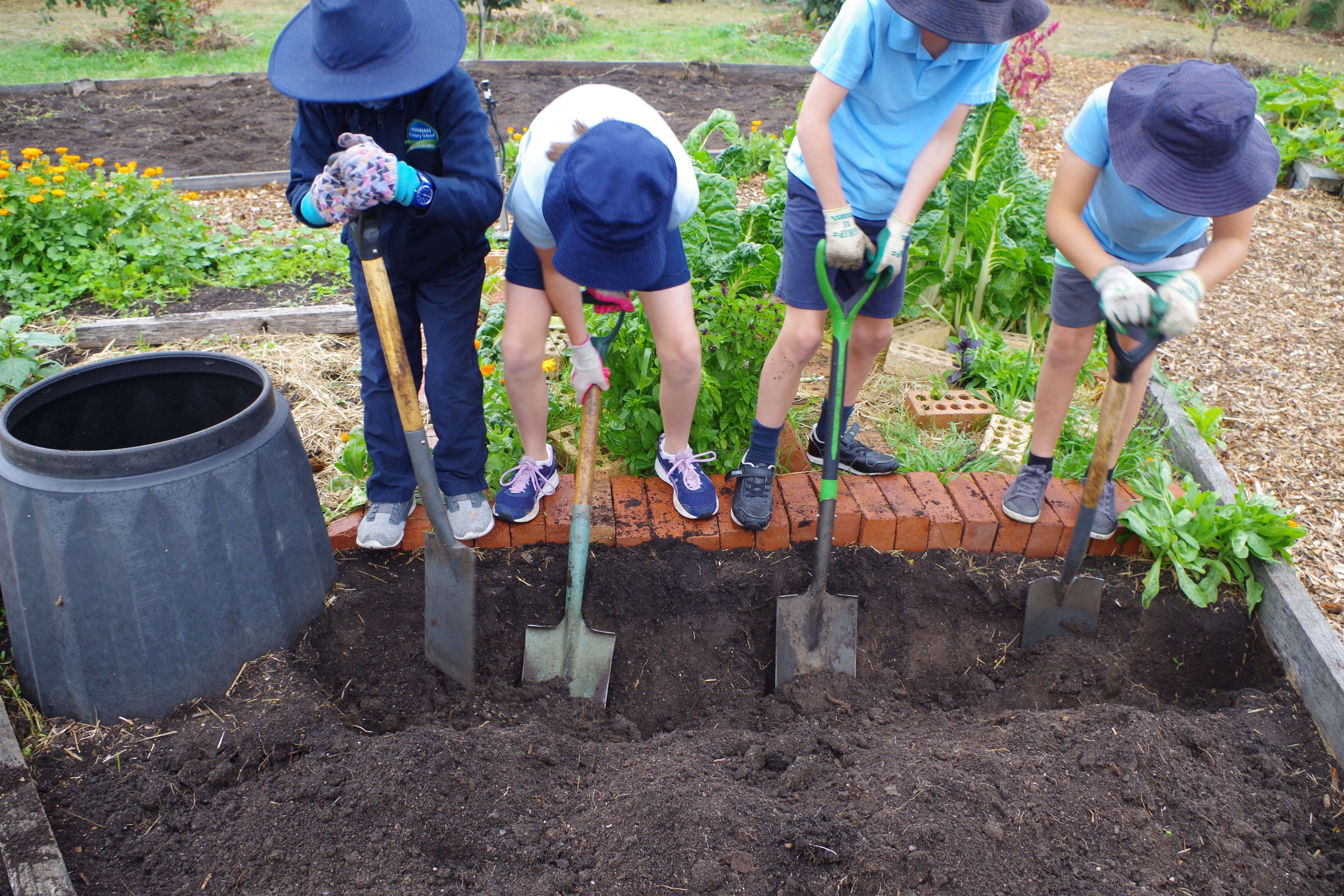 Stephanie Alexander Kitchen Garden Foundation