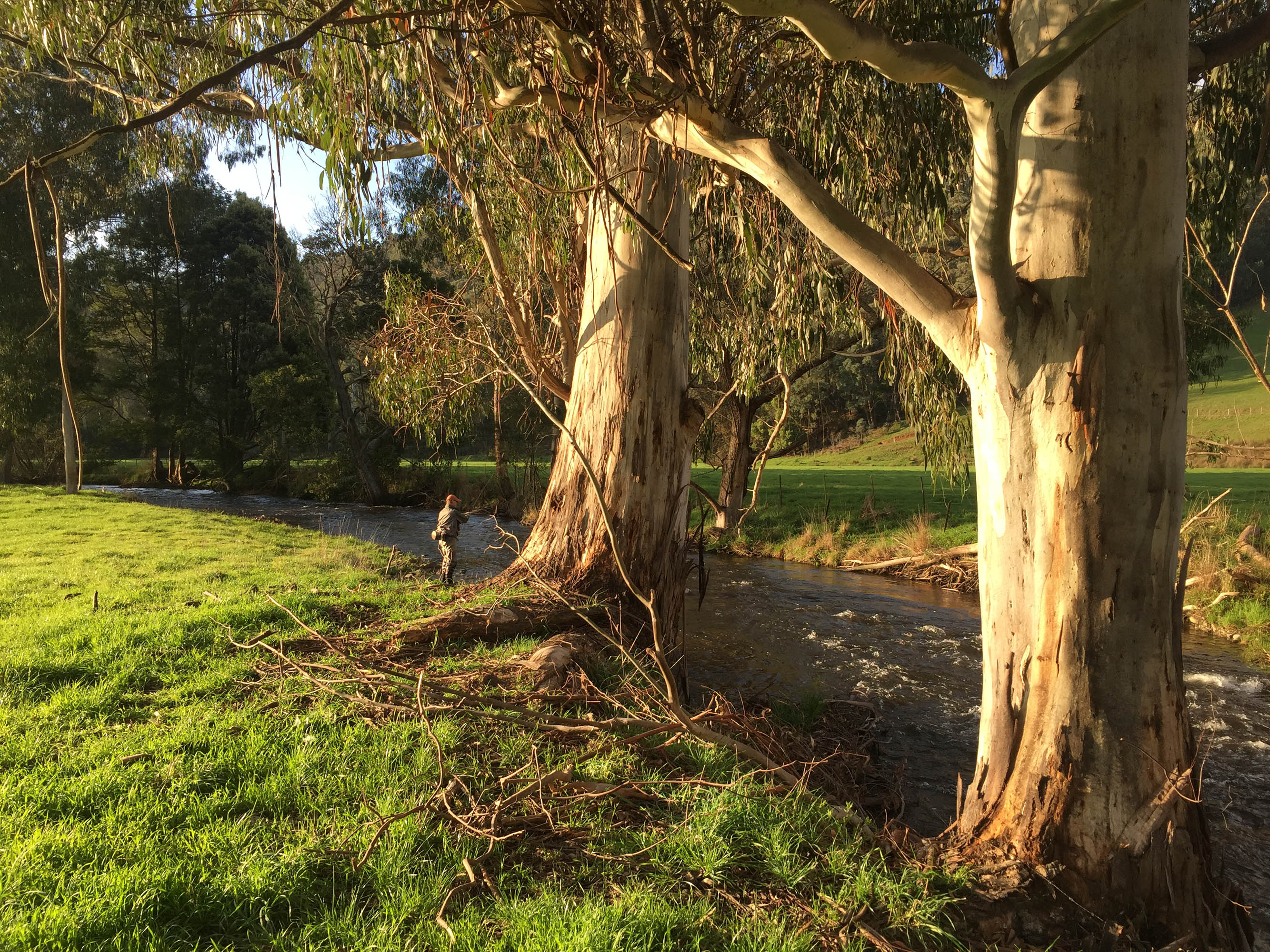 Calder Fly Fishing Association Inc