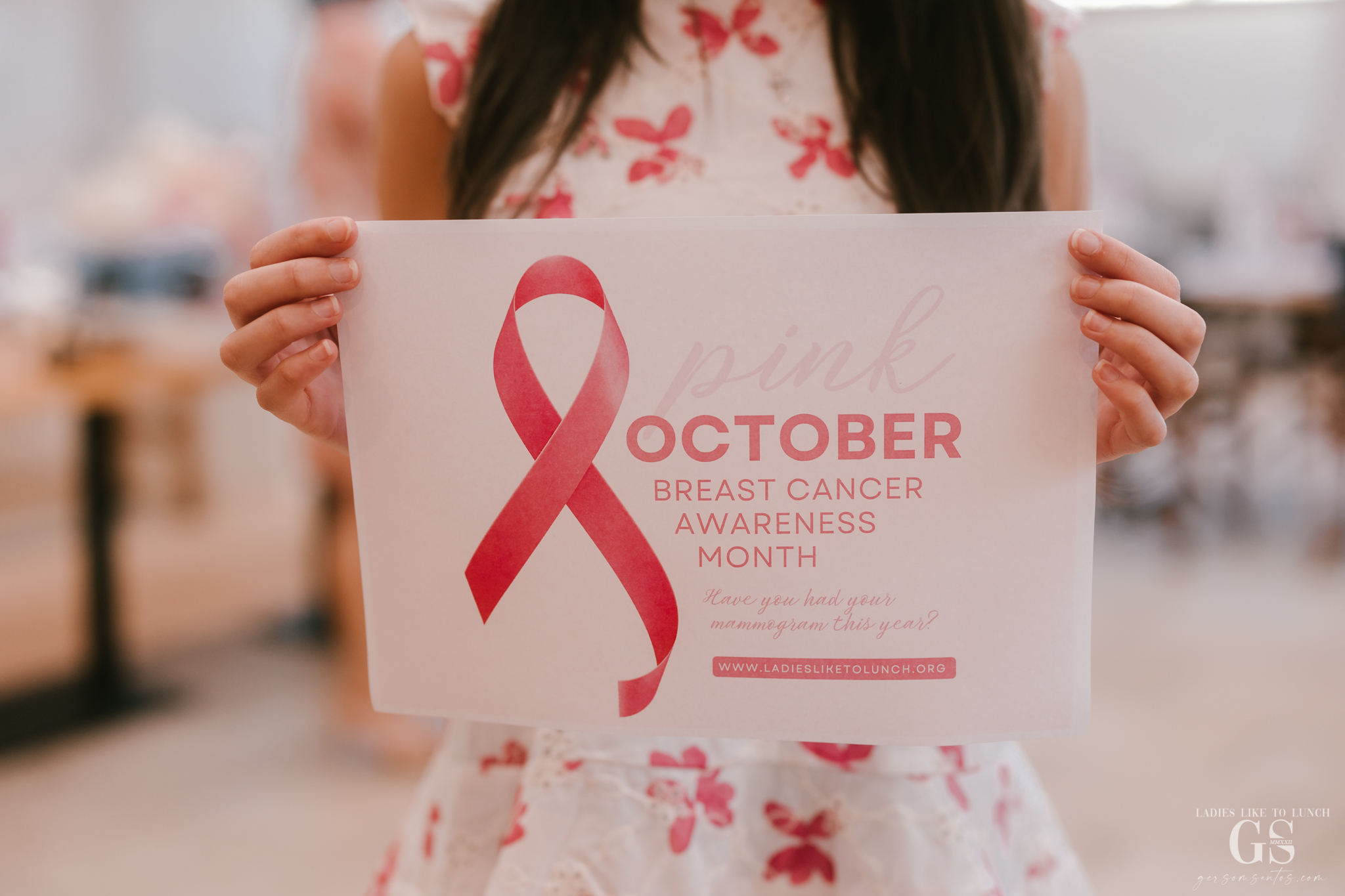 Ladies Like to Lunch Limited