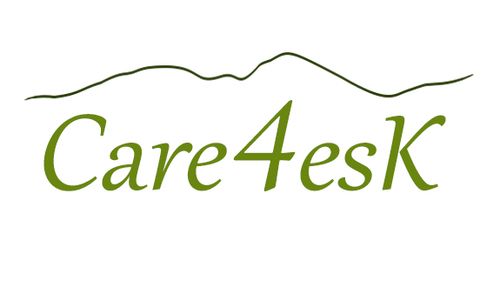 Care4esK Inc. logo