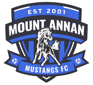 Mt Annan Mustangs Soccer Club