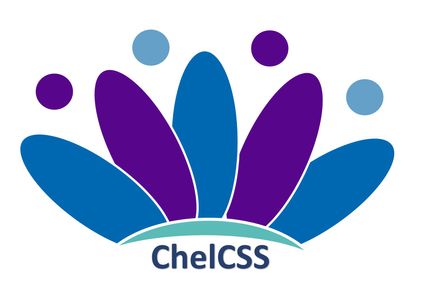 Chelsea Community Support Service