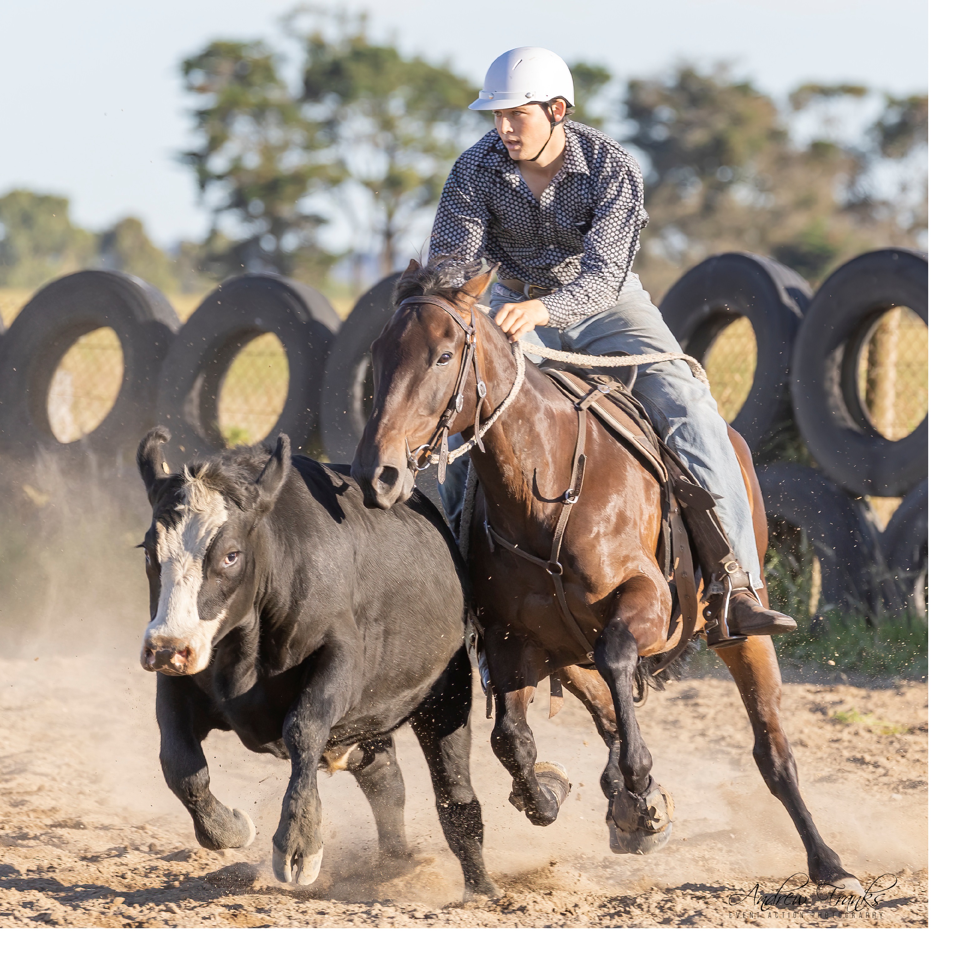 Delegate Rodeo Campdraft Inc