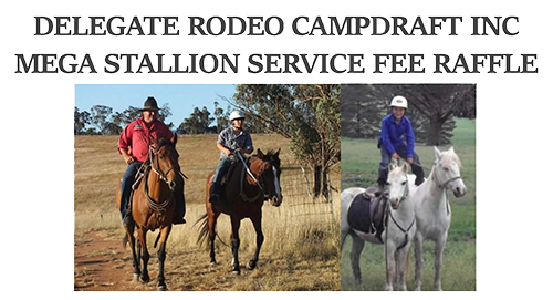 Delegate Rodeo Campdraft Inc logo