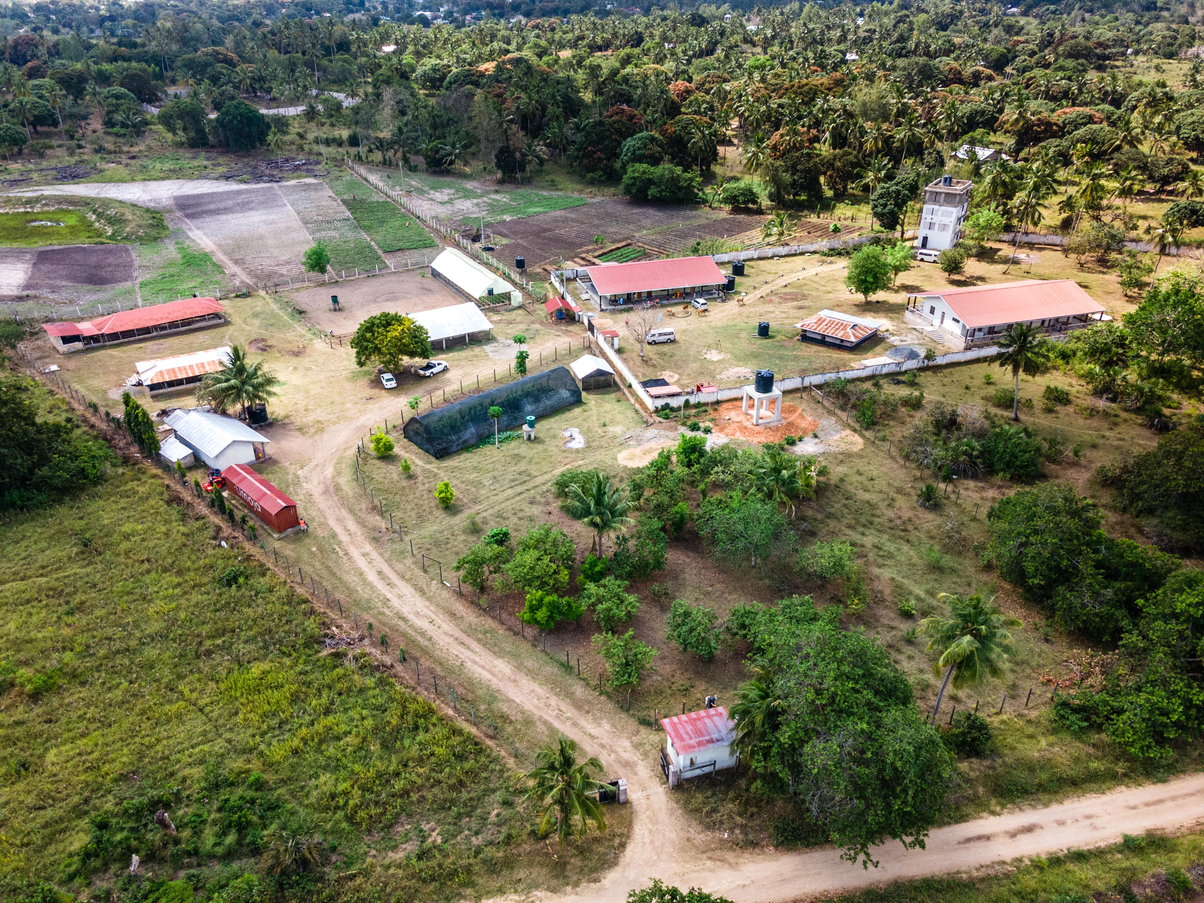 Umoja Orphanage Kenya Incorporated
