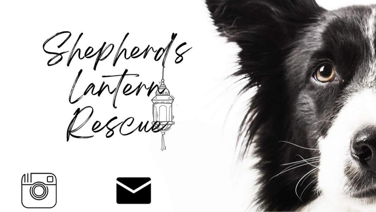 Shepherd's Lantern Rescue Inc