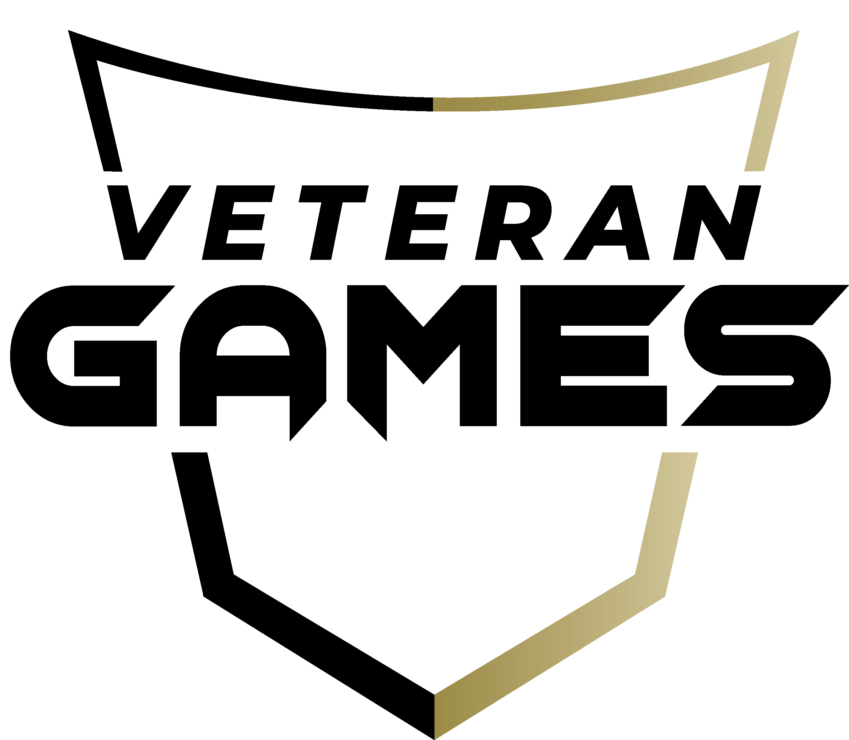 Veteran Support Force Ltd logo