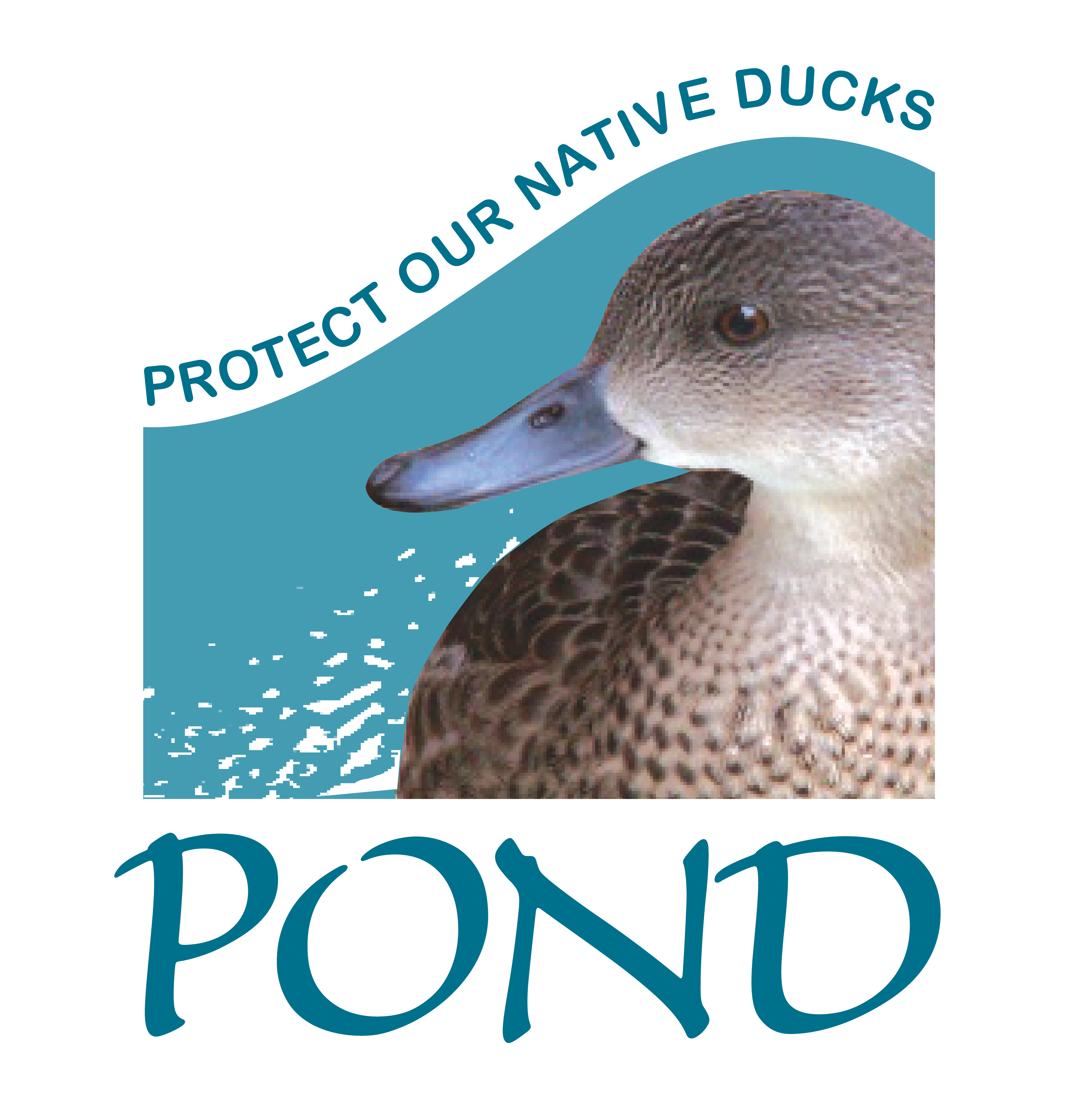 Protect Our Native Ducks Inc logo