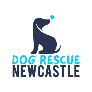Dog Rescue Newcastle
