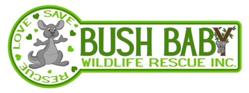 Bush Baby Wildlife Rescue Inc. logo