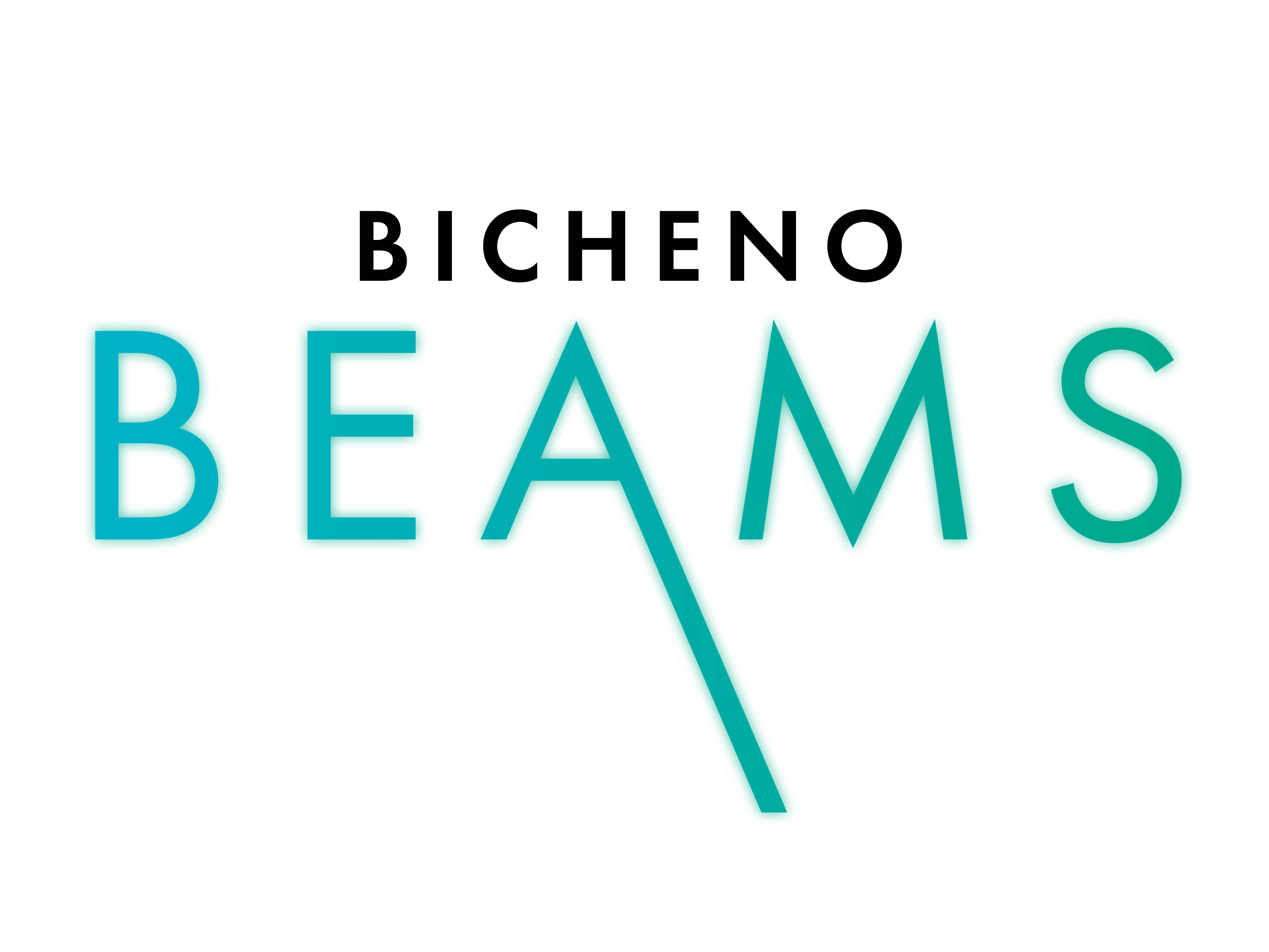 Bicheno Community Development Association Incorporated