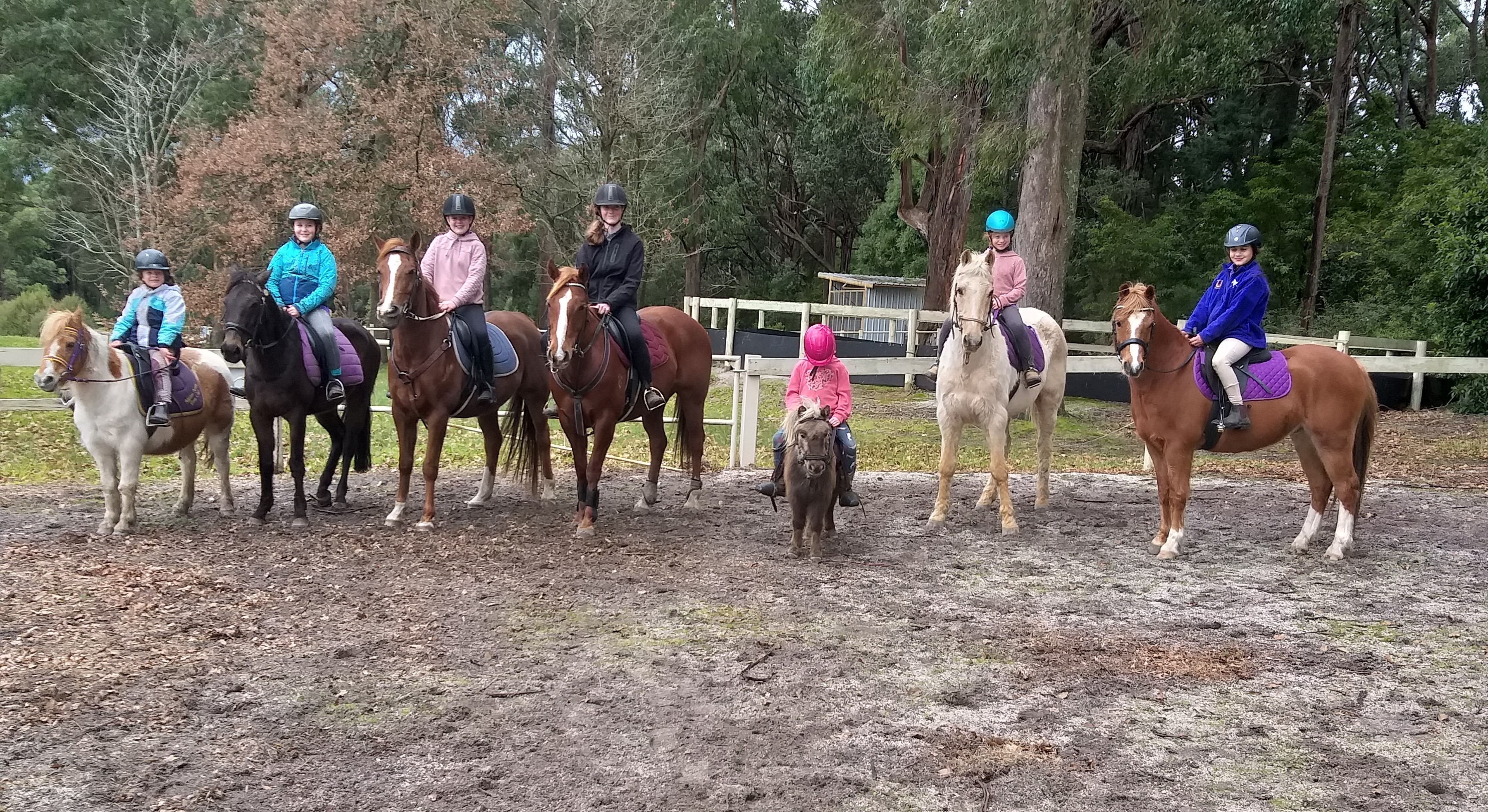 Mirboo North Pony Club