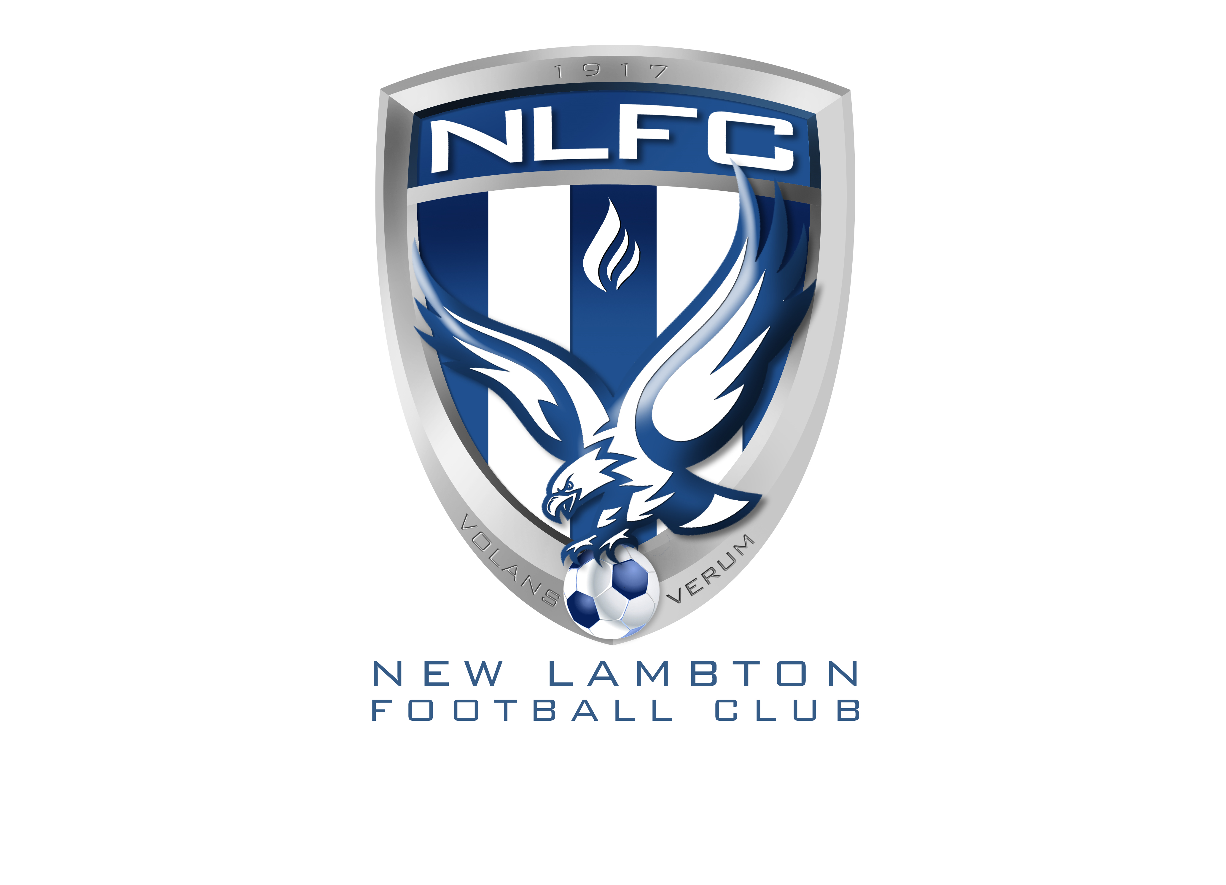 New Lambton Eagles Football Club logo