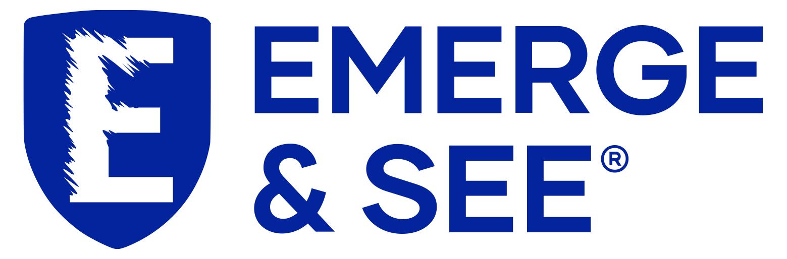 Emerge & See Ltd