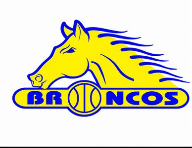 Broken Hill Basketball Association logo