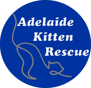 Adelaide Kitten Rescue Incorporated