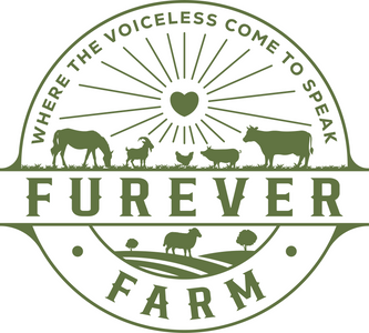 Matt Telford in support of Furever Farm logo