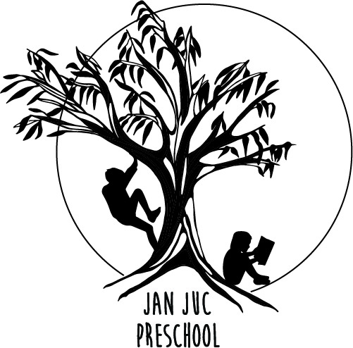 Jan Juc Pre School Committee Inc - Kite Festival logo