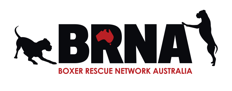 Boxer Rescue Network Australia logo