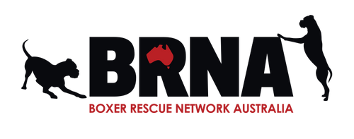 Boxer Rescue Network Australia logo