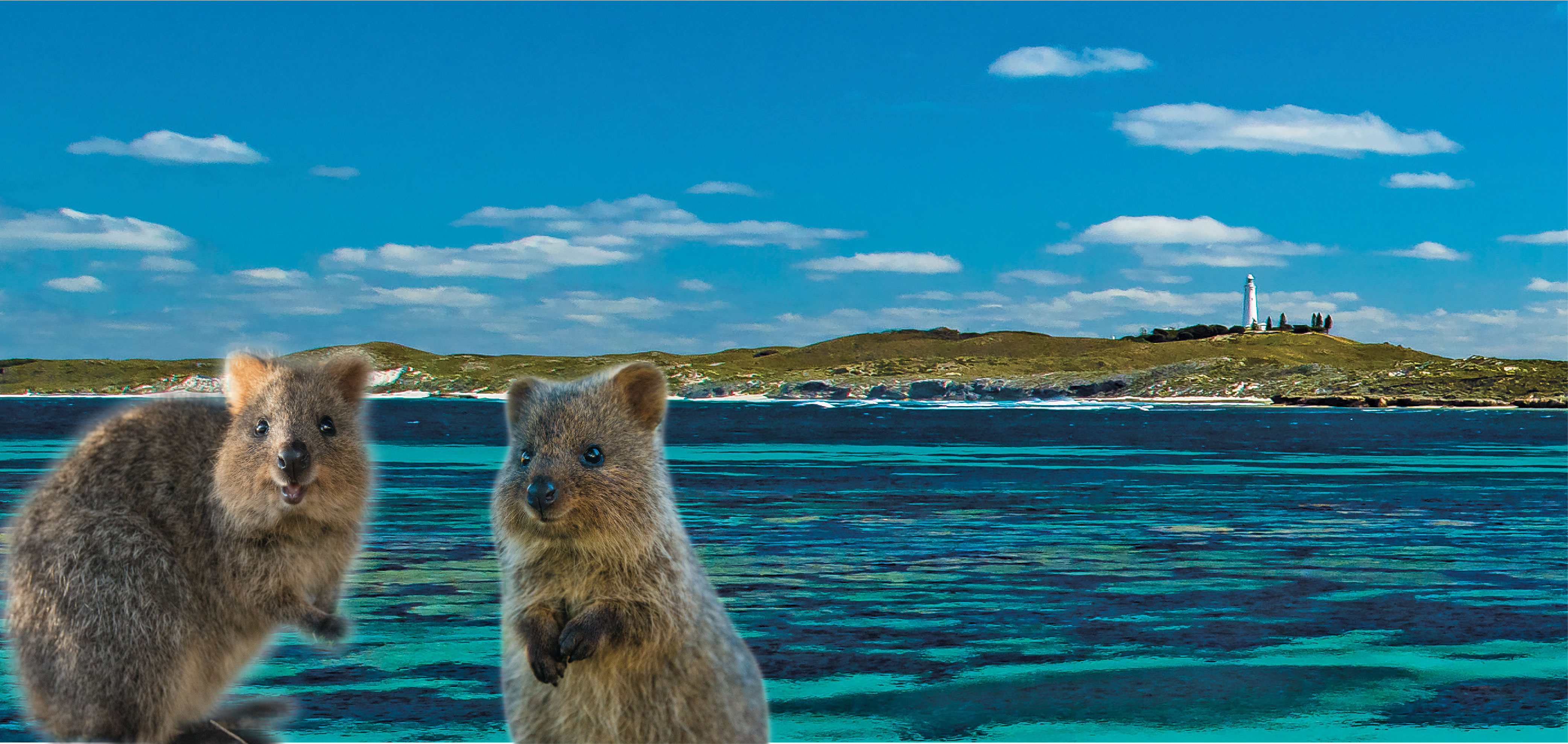 Rottnest Foundation