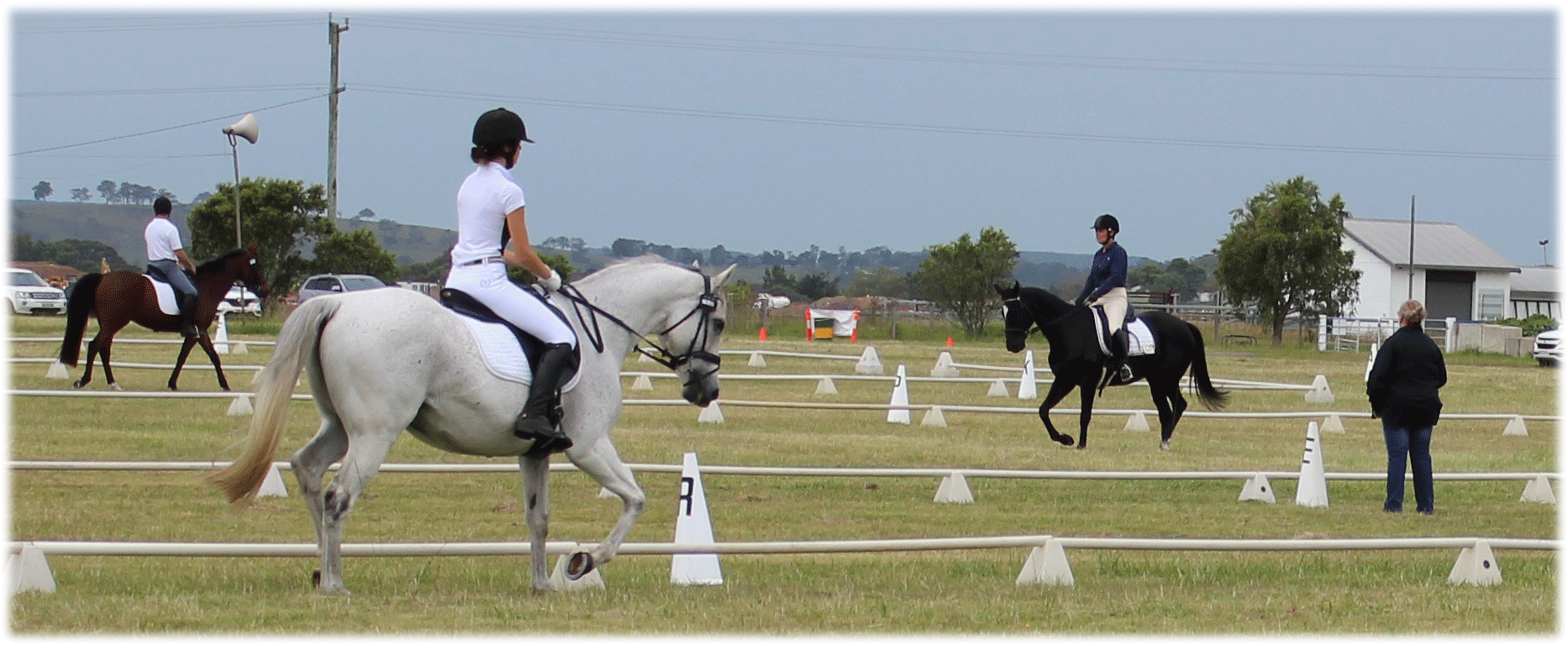 Dungog Dressage Club Inc